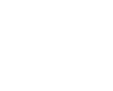 IDR Logo